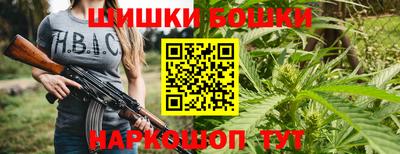 молекула духа Волжский