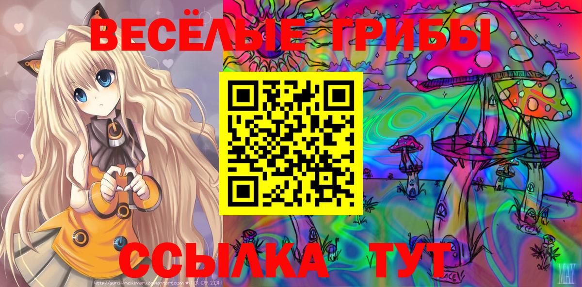 Шелехов  купить наркотики сайты  Галлюциногенные грибы прущие грибы  Вход с VPN  Псилоцибиновые грибы ЛСД 